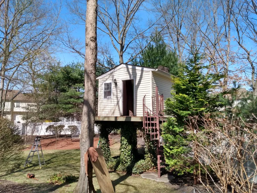 Reliable yard maintenance in Smyrna, DE - Prime Property Maintenance