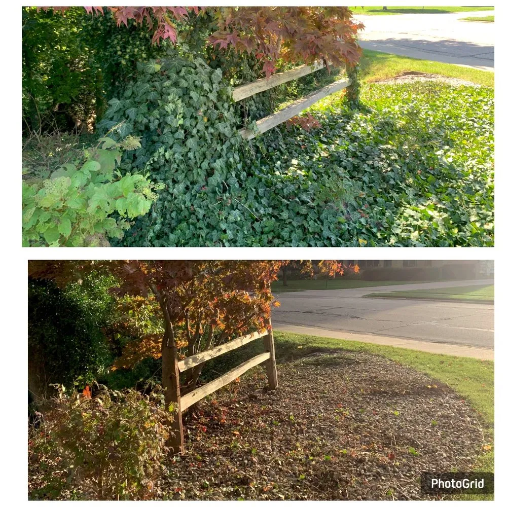 Expert lawn care service for residential properties across Niles, MI - Prime Property Services