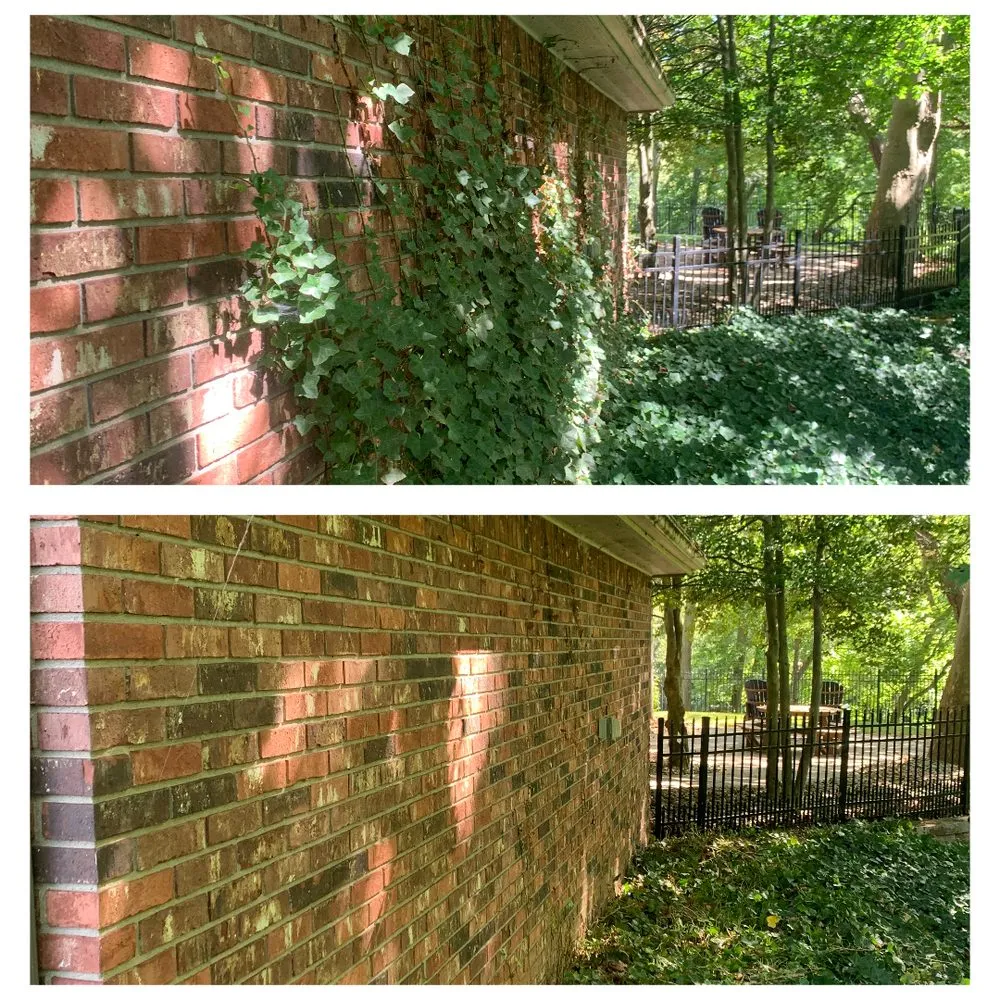 Reliable landscaping services in Niles, MI - Prime Property Services