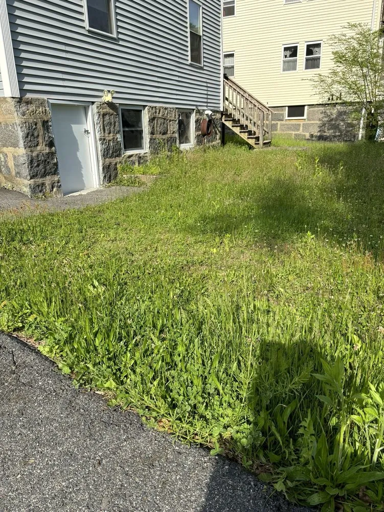 Expert landscape installation for year-round maintenance in Salem, MA by Prime Property Services