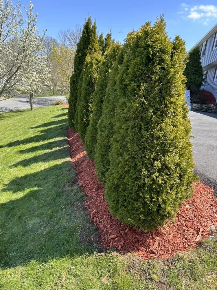 Expert yard maintenance for residential properties in Salem, MA by Prime Property Services