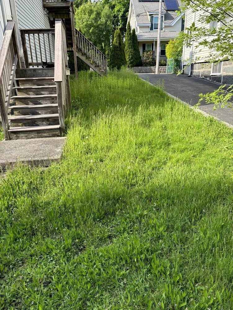Affordable lawn care service for beautiful yards in Salem, MA by Prime Property Services