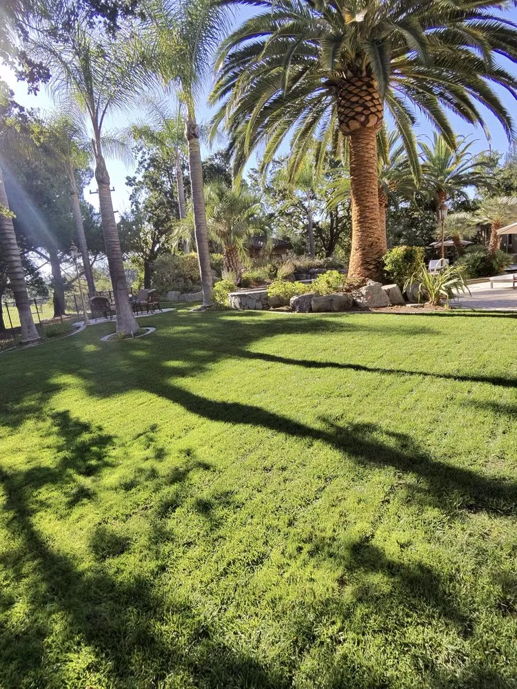 Expert lawn mowing service experts serving Pittsburg, CA - Prime Roots Landscape