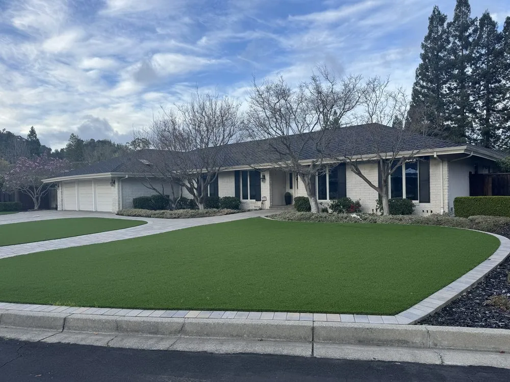 Top-rated yard cleanup service experts serving Pittsburg, CA - Prime Roots Landscape