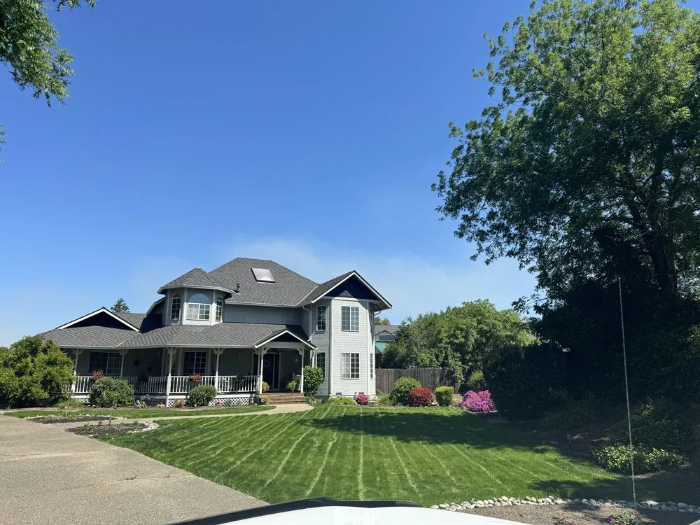 Trusted yard cleanup service experts serving Pittsburg, CA - Prime Roots Landscape