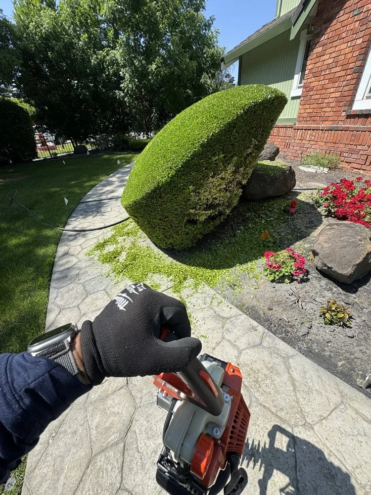 Reliable landscaping services with custom design across Pittsburg, CA - Prime Roots Landscape