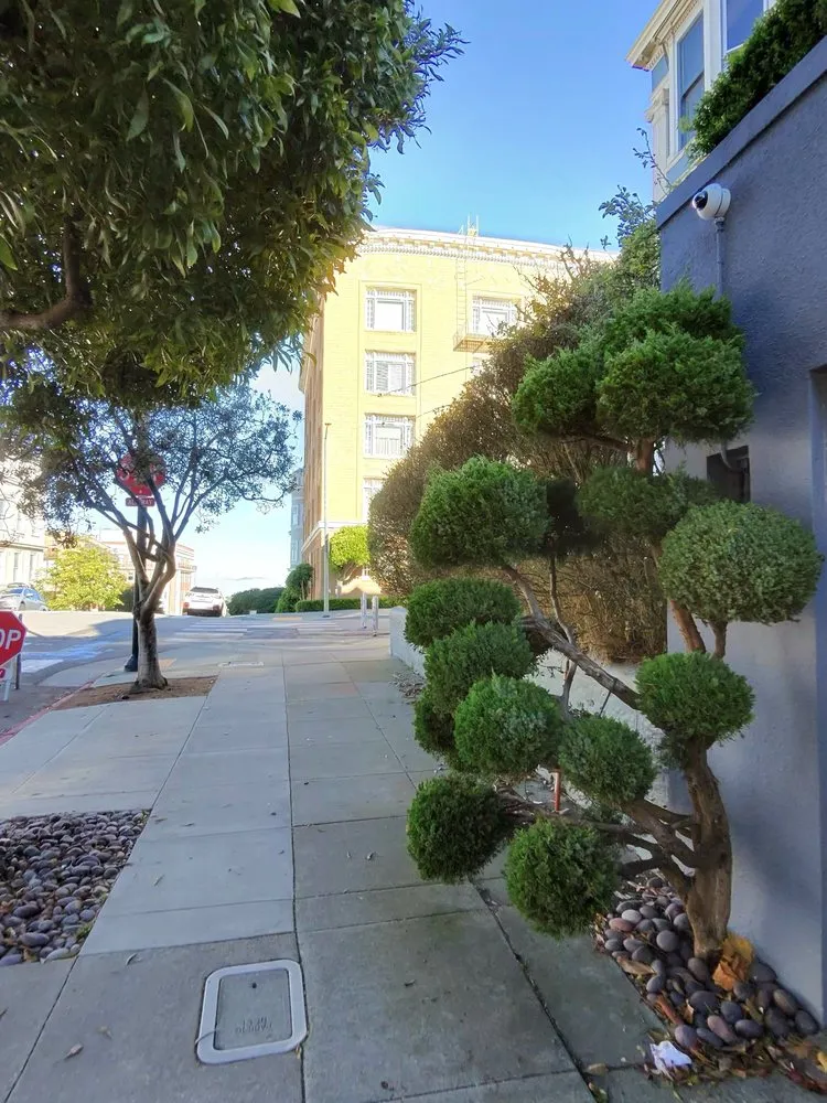 Custom yard maintenance in Pittsburg, CA - Prime Roots Landscape