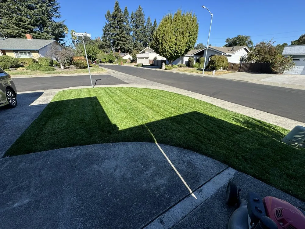 Professional yard cleanup service experts serving Pittsburg, CA - Prime Roots Landscape