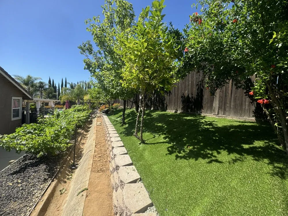 Affordable yard maintenance in Pittsburg, CA - Prime Roots Landscape
