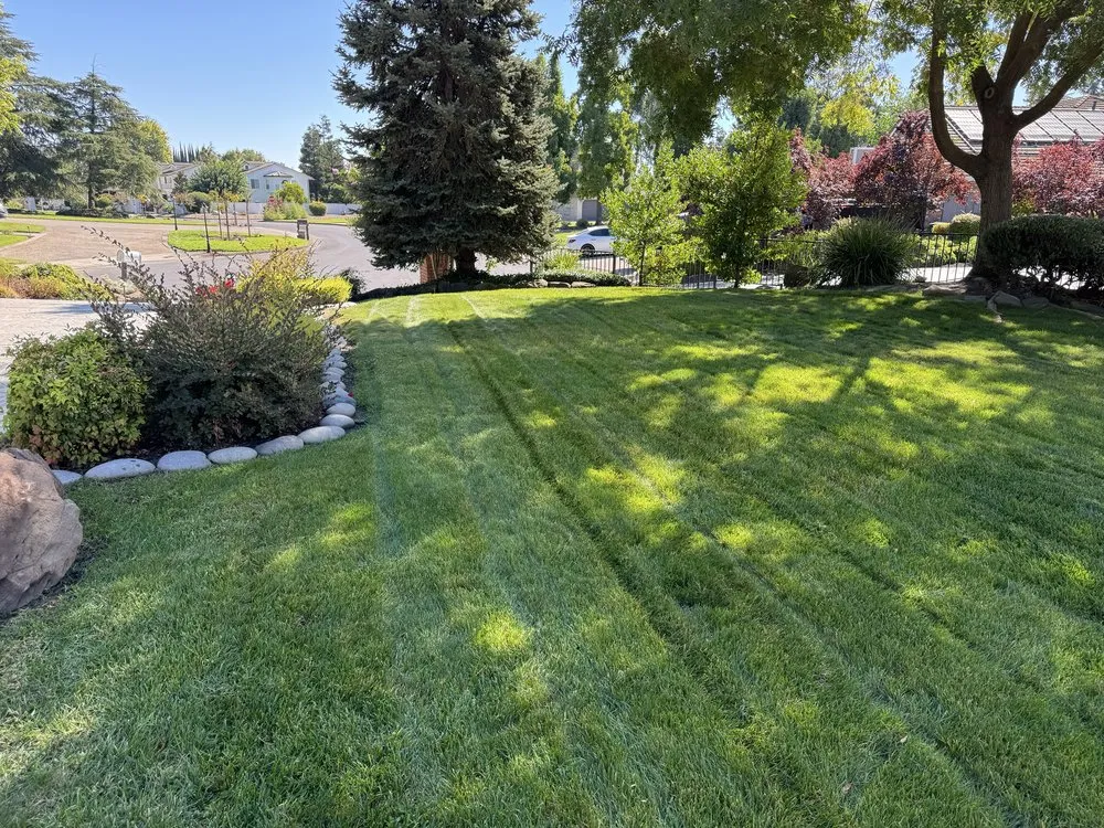Local lawn mowing service for outdoor upgrades across Pittsburg, CA - Prime Roots Landscape