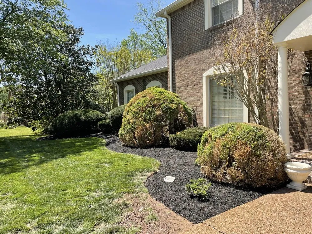 Top-rated landscape design in Columbia, TN by Prime Roots Landscaping