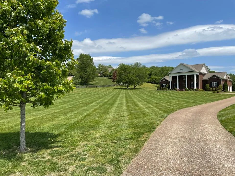 Expert outdoor landscaping for beautiful yards in Columbia, TN by Prime Roots Landscaping