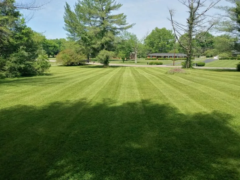 Custom outdoor landscaping for homes across Columbia, TN - Prime Roots Landscaping