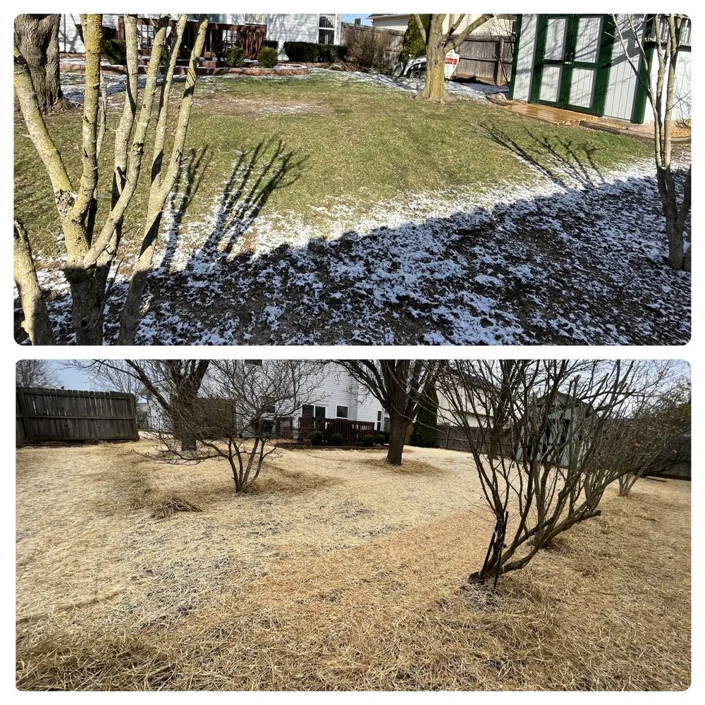 Local residential landscaping in Camby, IN by Prime Scapes