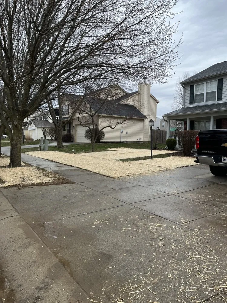 Trusted yard cleanup service experts serving Camby, IN - Prime Scapes
