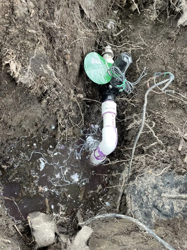 Professional landscaping services for residential properties in Camby, IN by Prime Scapes