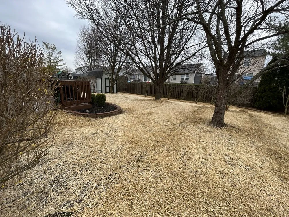 Custom yard cleanup service for year-round maintenance in Zionsville, IN by Prime Scapes