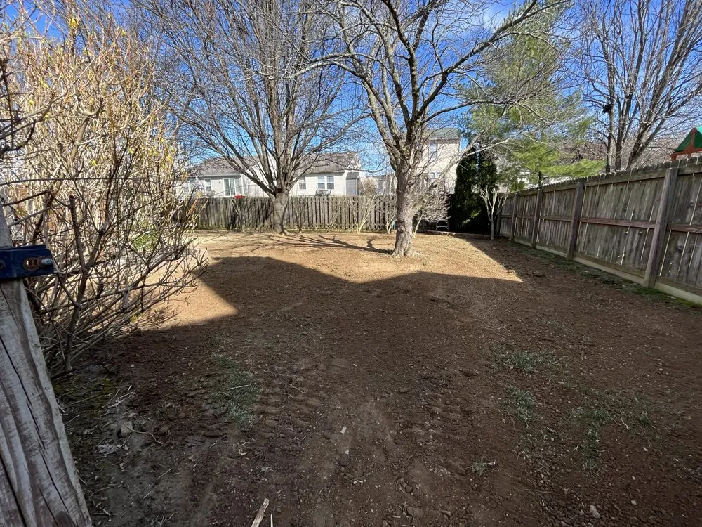 Trusted yard cleanup service near you across Zionsville, IN - Prime Scapes