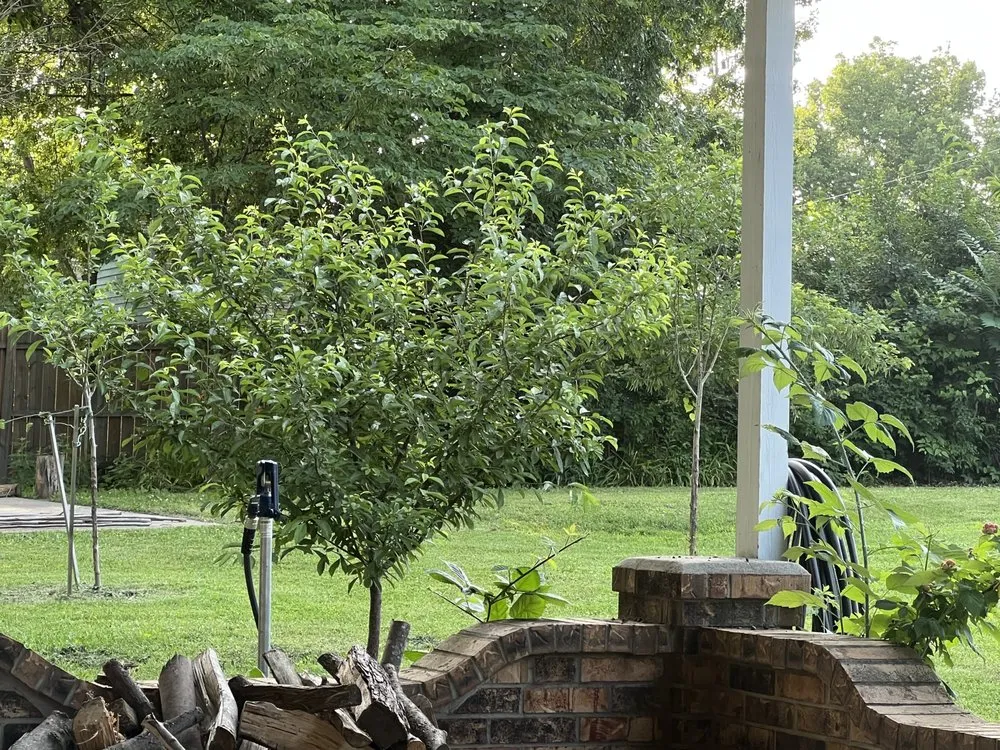 Top-rated lawn mowing service for homes in League City, TX by Prime Services