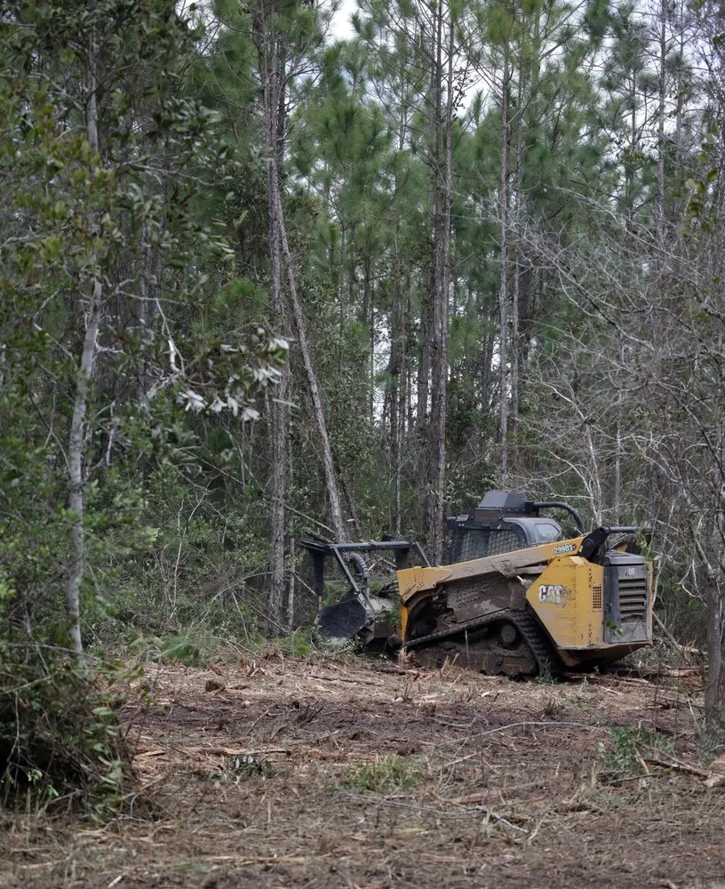 Trusted garden landscaping in Fraser, CO by Prime Site Work & Concrete