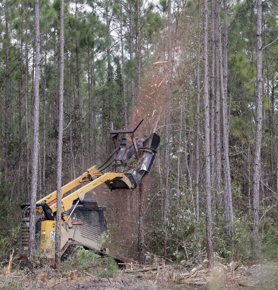 Top-rated lawn care service in Fraser, CO by Prime Site Work & Concrete