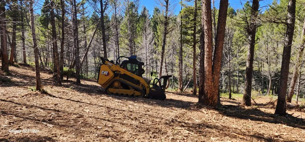 Trusted landscape design in Fraser, CO - Prime Site Work & Concrete
