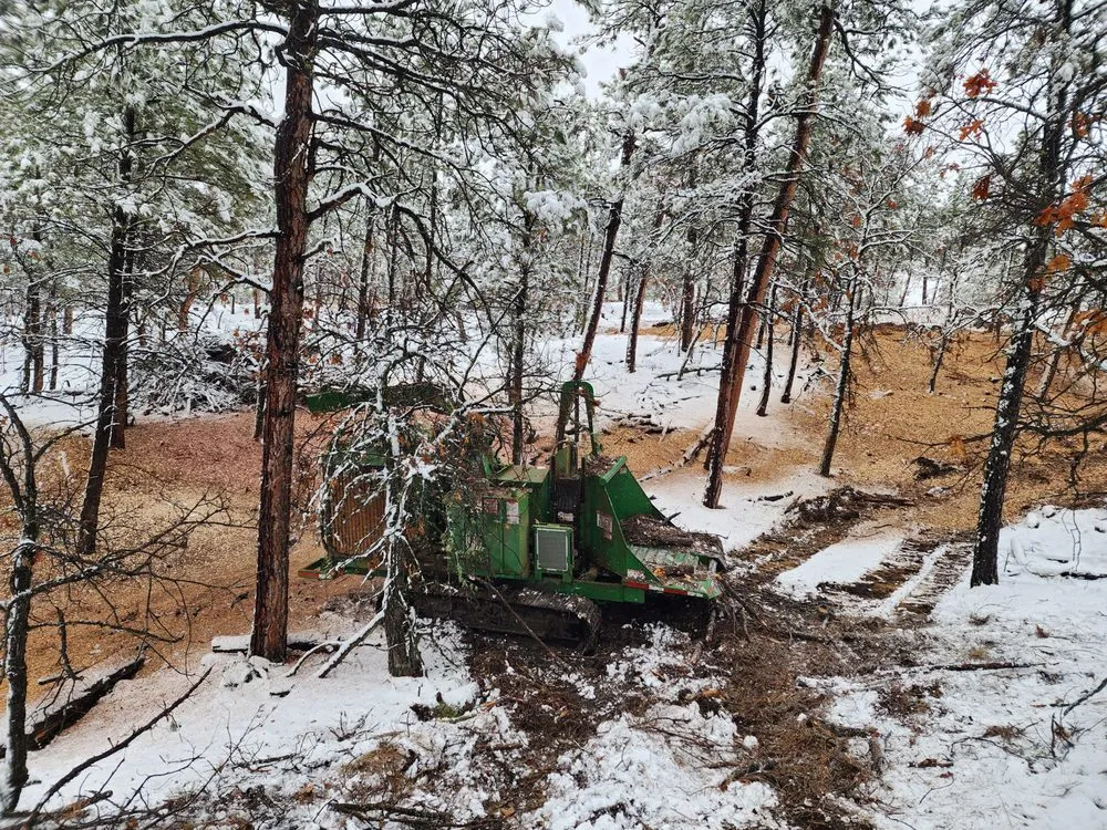 Top-rated lawn mowing service in Fraser, CO - Prime Site Work & Concrete