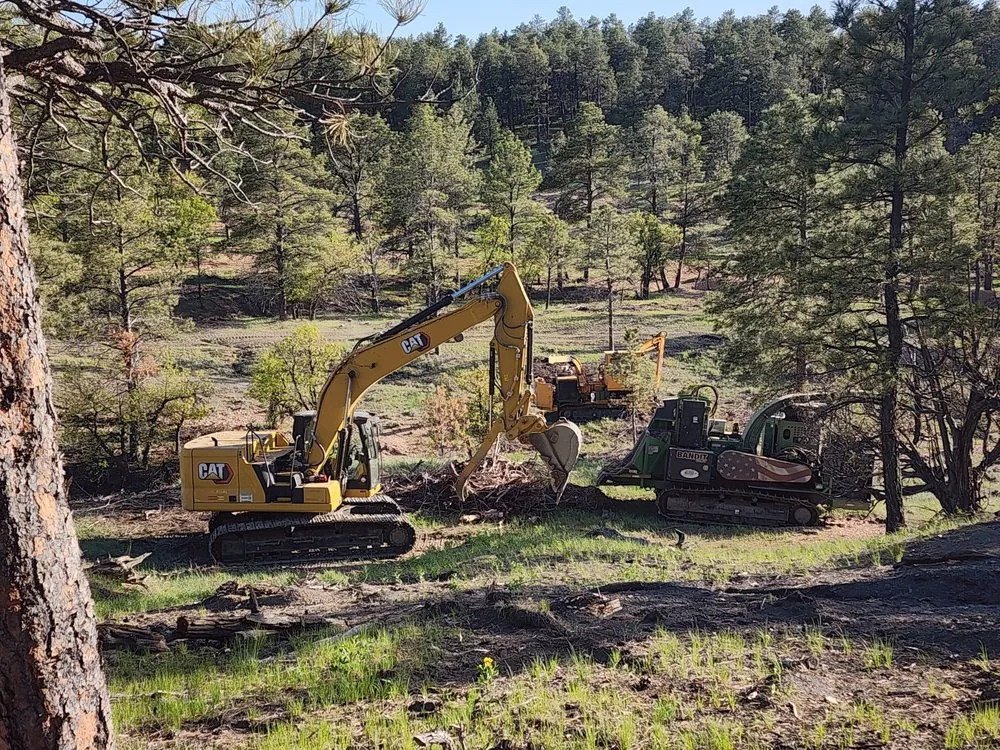 Top-rated lawn mowing service for beautiful yards across Fraser, CO - Prime Site Work & Concrete