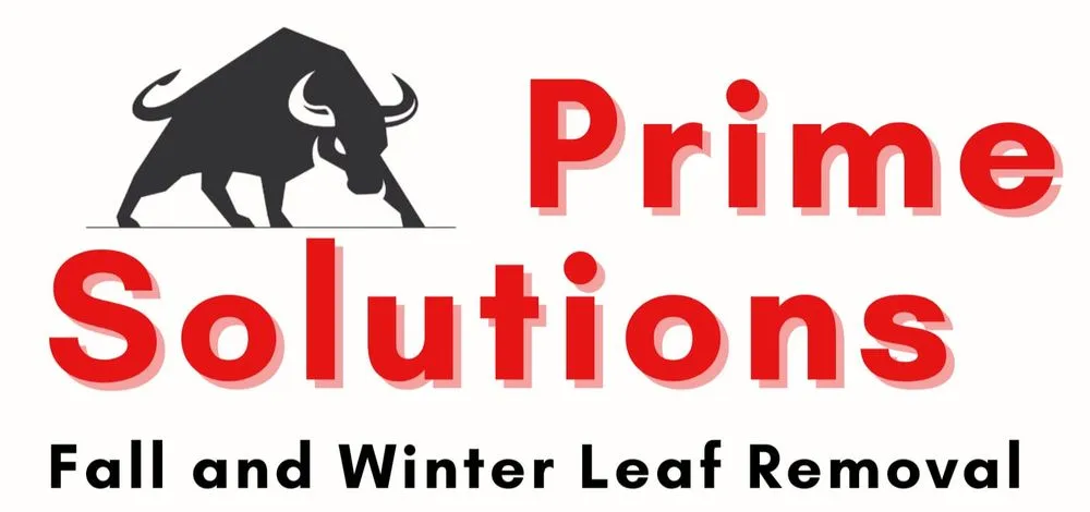 Local lawn care service for beautiful yards across Helotes, TX - Prime Solutions