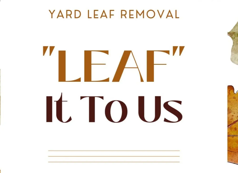 Trusted landscape installation in Helotes, TX by Prime Solutions