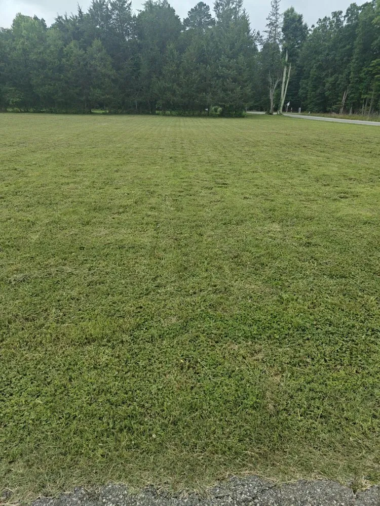 Local yard maintenance for residential properties across Chester, VA - Prime Time Landscaping And Design