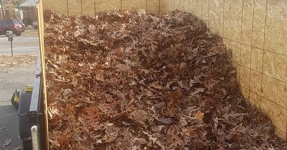 Trusted yard cleanup service experts serving Chester, VA - Prime Time Landscaping And Design