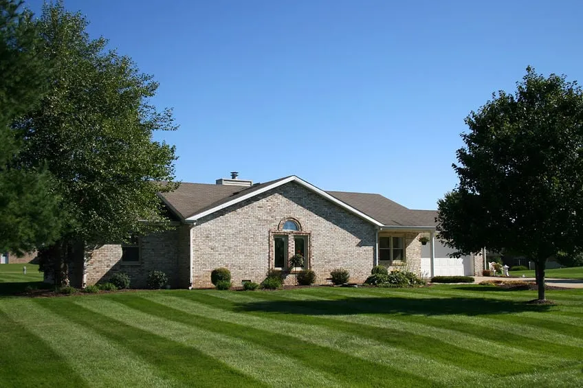 Professional yard cleanup service for year-round maintenance across Springboro, OH - Prime Time lawn and landscape