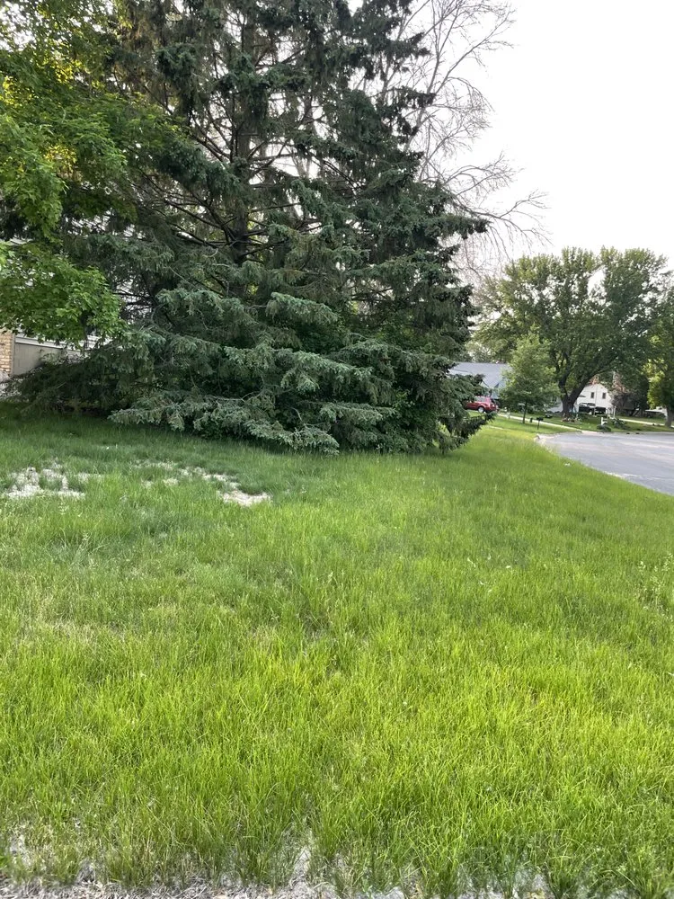 Custom lawn mowing service experts serving Minnetonka, MN - Prime Time Lawn Care