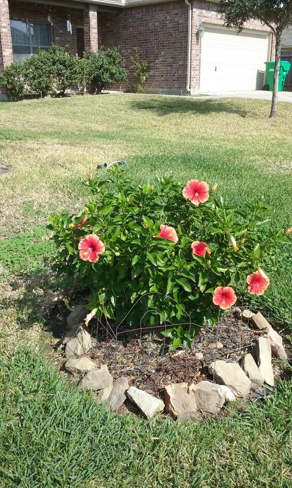 Expert lawn care service for outdoor upgrades in Humble, TX by Prime Time Mobile Detailing