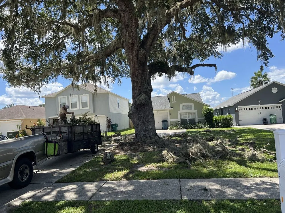 Reliable landscaping services in New Port Richey, FL - Prime Time Tree & Property Maintenance