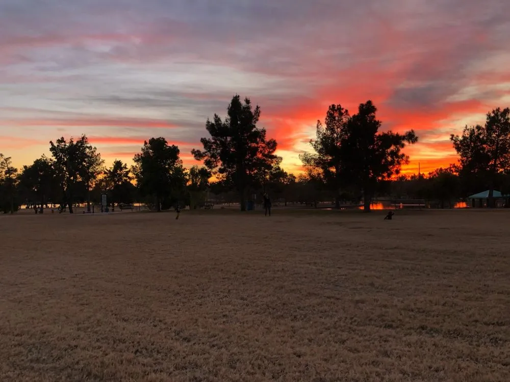 Custom lawn mowing service in Cave Creek, AZ by Prime Tree Removal & Trimming