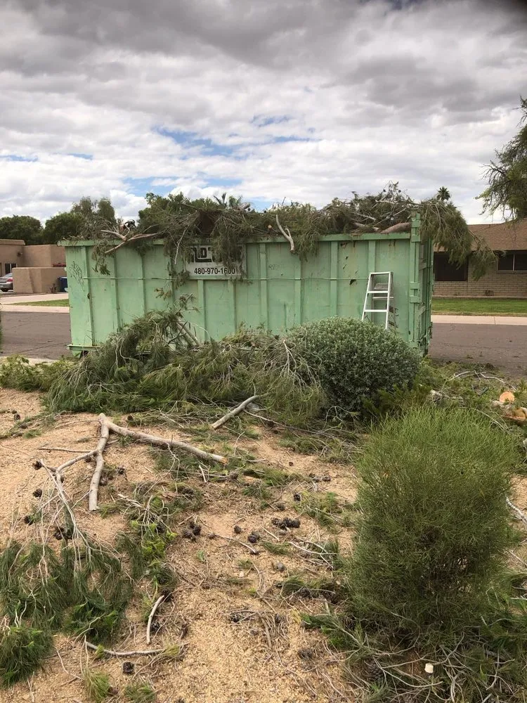 Affordable yard cleanup service experts serving Cave Creek, AZ - Prime Tree Removal & Trimming