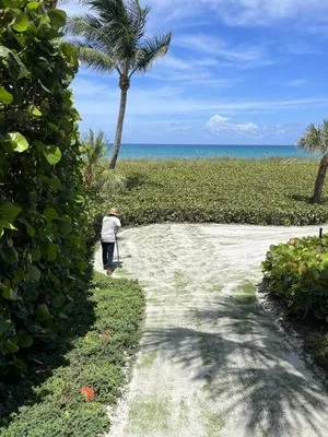 Prime Turf Management Logo