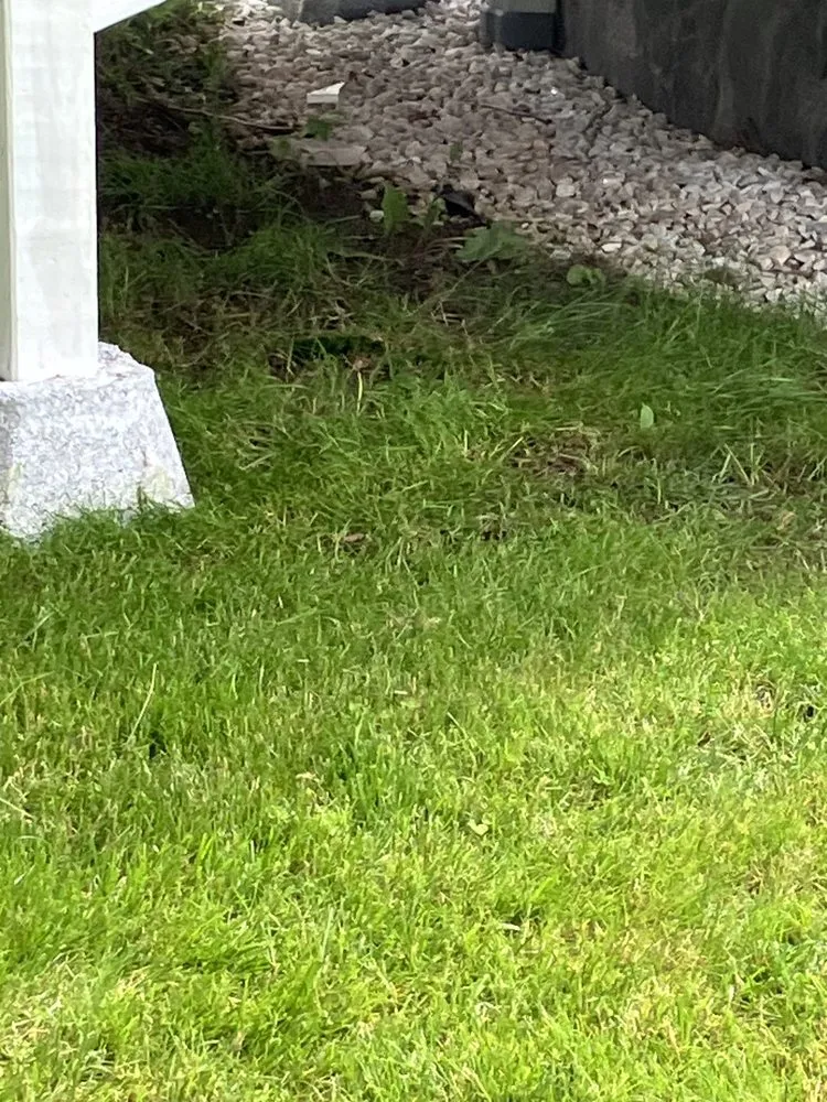 Reliable residential landscaping in Phelps, NY by Prime Washing And Mowing