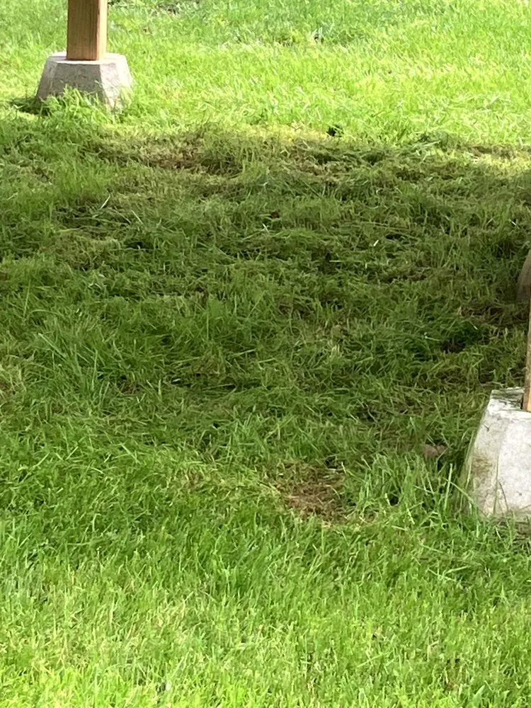 Affordable lawn mowing service for outdoor upgrades in Phelps, NY by Prime Washing And Mowing