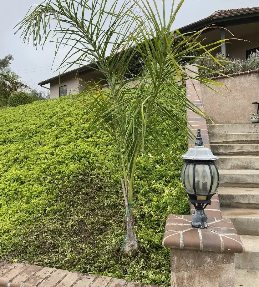 Expert residential landscaping for homes in Lakeside, CA by Prime Yard