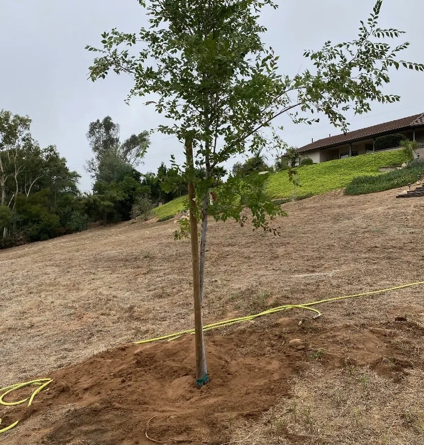 Custom landscaping services with custom design across Lakeside, CA - Prime Yard