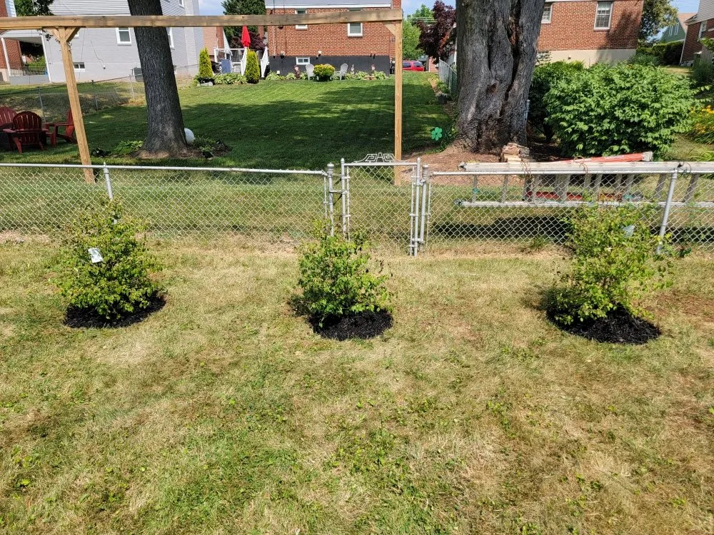 Trusted landscape installation experts serving Hampstead, MD - Primed Appearance