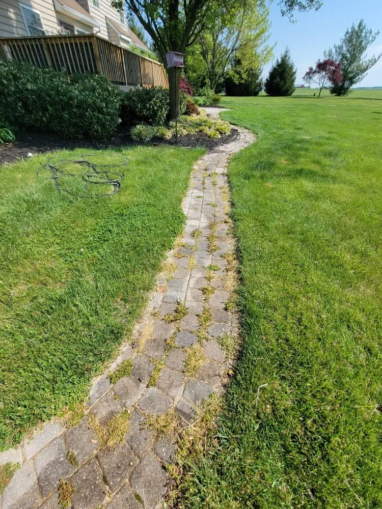 Affordable yard cleanup service in Hampstead, MD - Primed Appearance