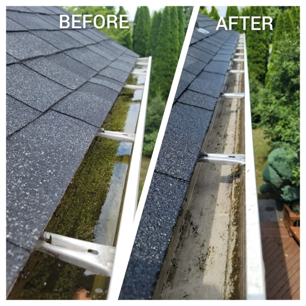 Affordable landscape design for residential properties in Hampstead, MD by Primed Appearance