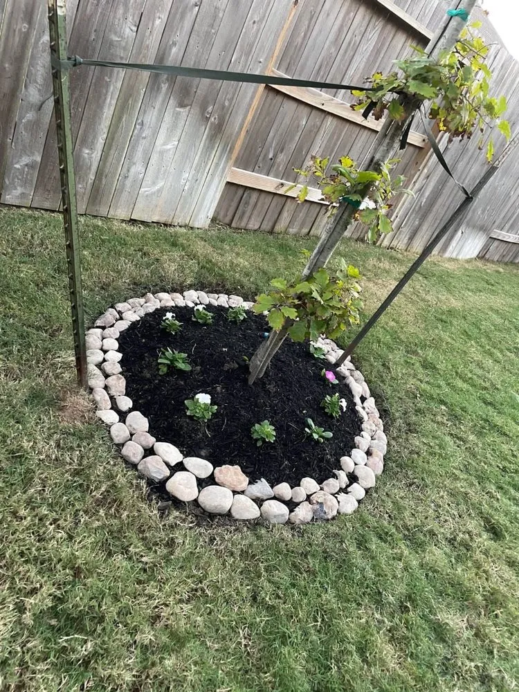 Affordable yard maintenance in Ramona, CA by Primera Landscaping