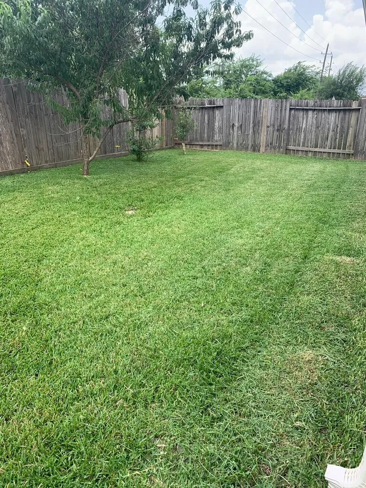 Local lawn care service experts serving Ramona, CA - Primera Landscaping