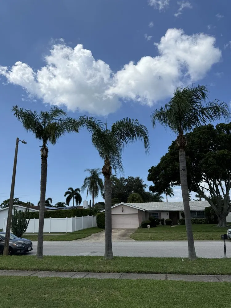 Local outdoor landscaping in Clearwater, FL by Primero Tree Service