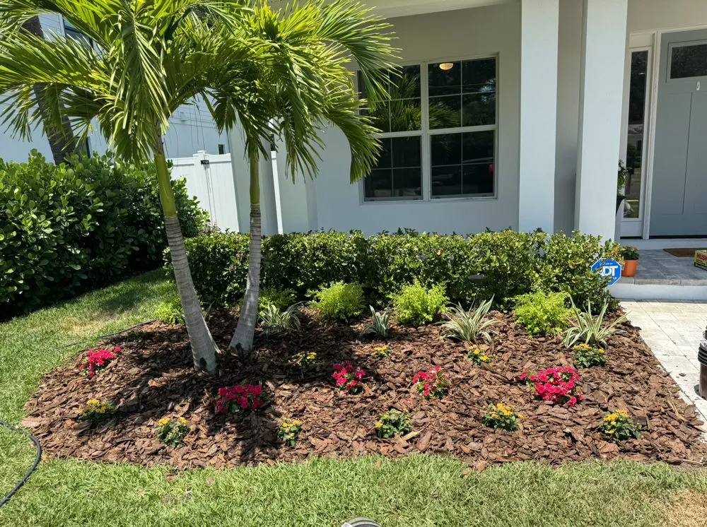Affordable landscape design experts serving Clearwater, FL - Primero Tree Service